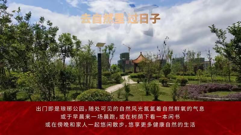 前方高能剧透,前方的高能剧透