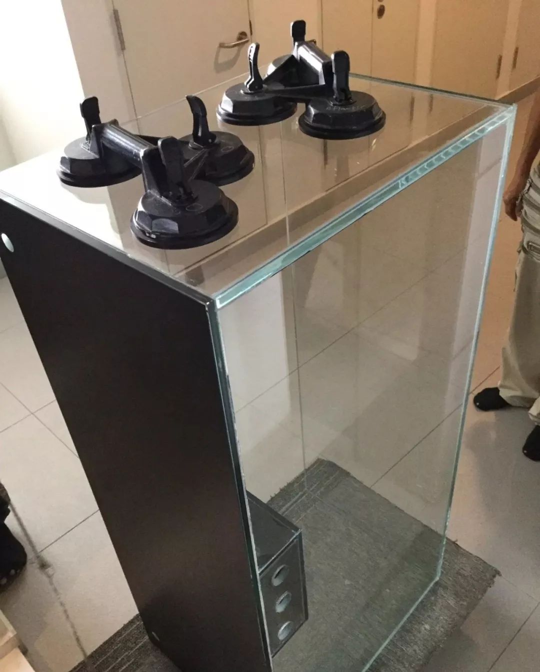 新开缸每天都有鱼死,新开缸鱼一直死