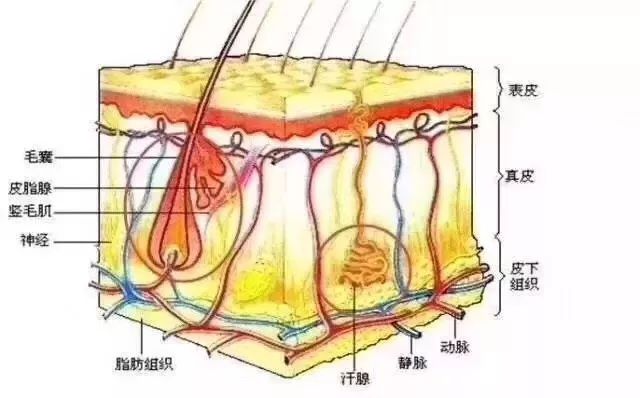 变美钜惠,变美福利券