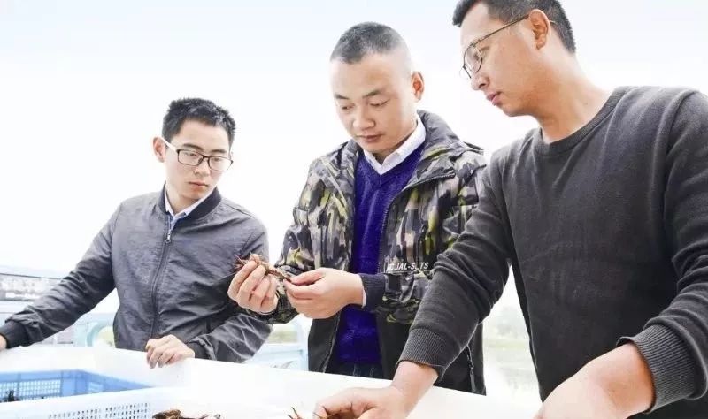 创新创业大赛亮点,大创项目和创新创业大赛