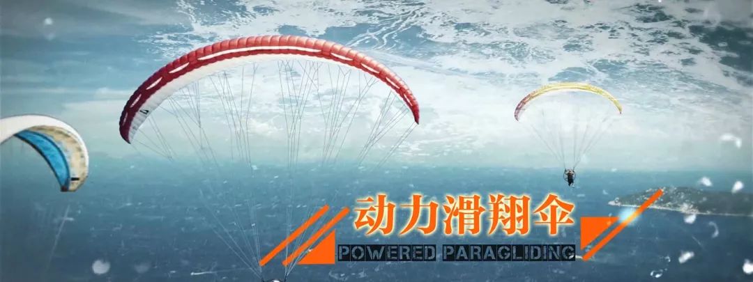 涓変簹浜氭矙浼氱粍濮斾細鎴愬憳,2020骞翠笁浜氫簹娌欎細