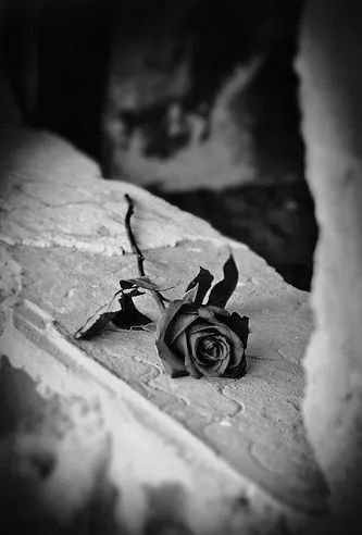 怀旧老歌粉红色的回忆,邓丽君100首老歌回忆经典