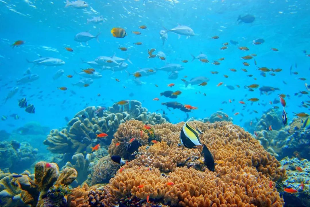东南亚适合旅游的地方排名,东南亚哪些国家旅游性价比最高呢