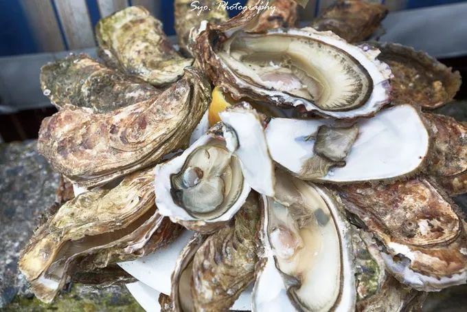 跟着汉堡，用味蕾开启一场意法之旅