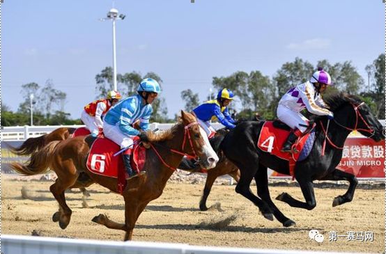 海南瑞泽赛马项目进展如何,海南瑞泽集团并购