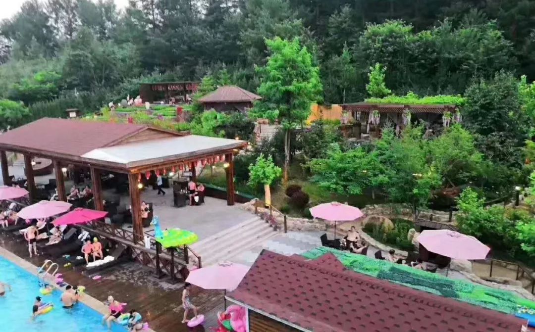 生活频道的养生视频,生活频道黄山