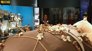 夏日花式玩法！极致视觉体验+五星级海鲜大餐，99元潮玩一整天