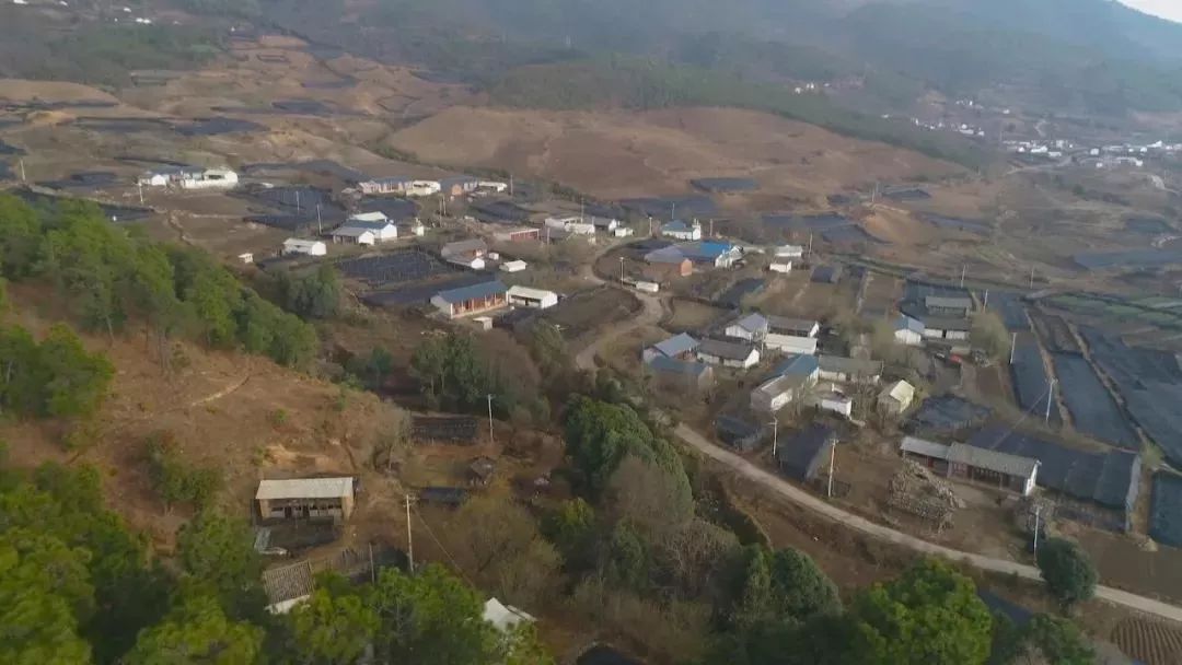 大理人眼中的大理,大理人民眼中的大理地图