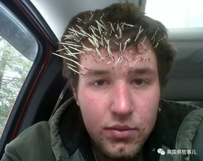 FUN||不开心？不如看沙雕网友的倒霉日常开心一下吧哈哈哈哈哈哈