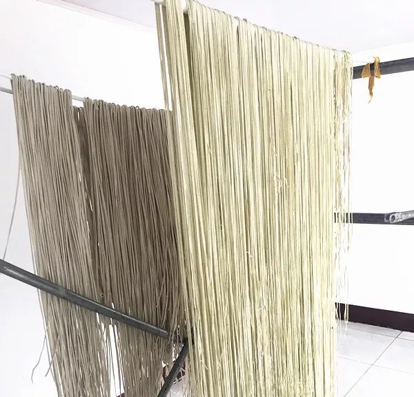 藏在海港区的打卡圣地，开导航都不一定找得到！