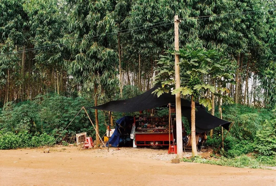 中国哪里的火车最美,中国哪里还有绿皮火车