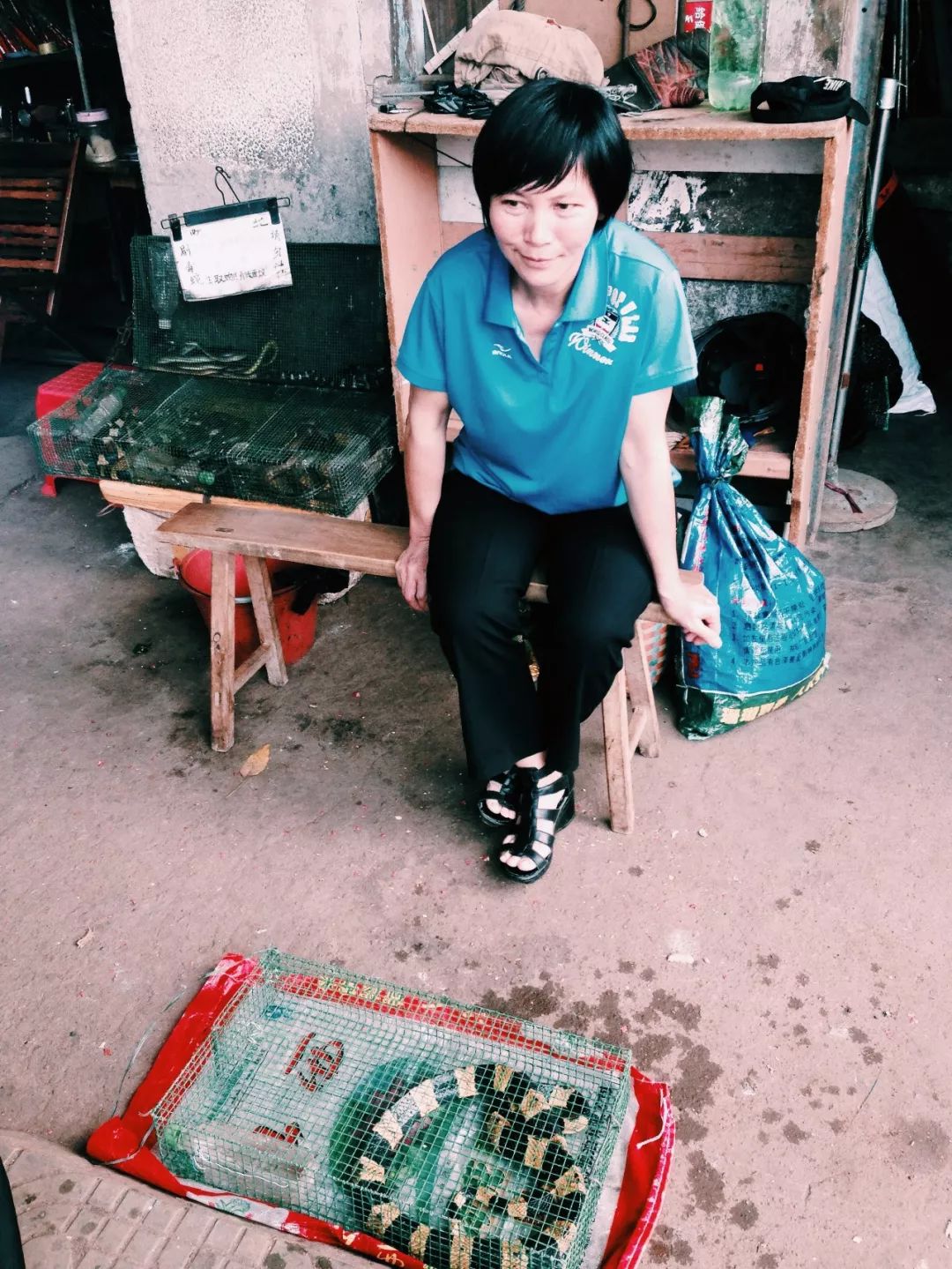 中国哪里的火车最美,中国哪里还有绿皮火车