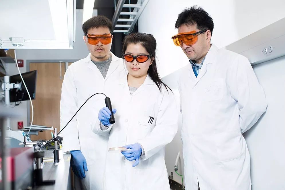 金色葡萄球菌感染会死吗,金色葡萄球菌感染有危险吗