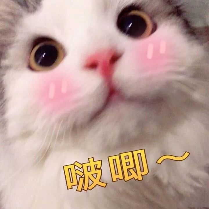 女明星同款穿搭上衣,女明星抢着穿搭