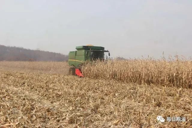 9月份最新小麦价格,2023年九月份小麦价格