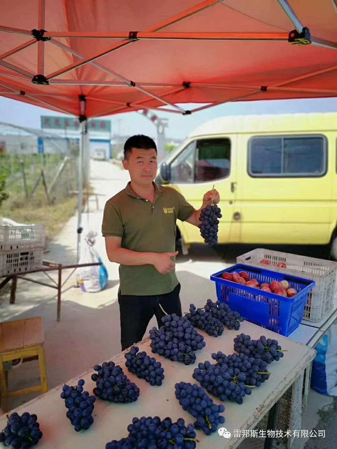 农资年入百万,农资挣钱