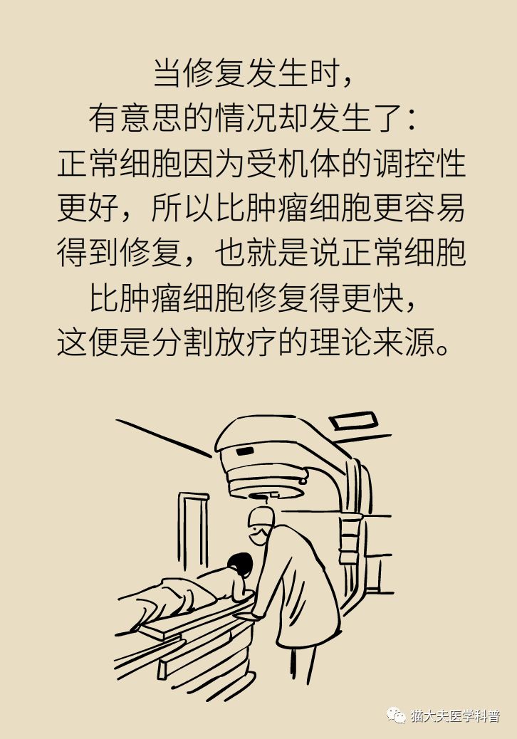 一文读懂癌症,一文看懂放射治疗