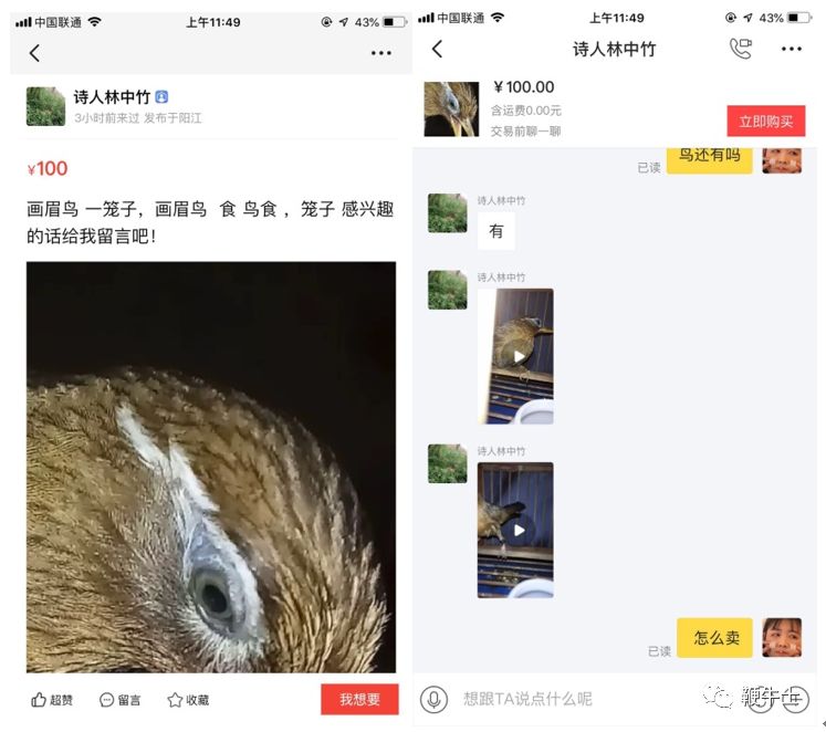 非法倒卖保护动物,非法买卖动物产品