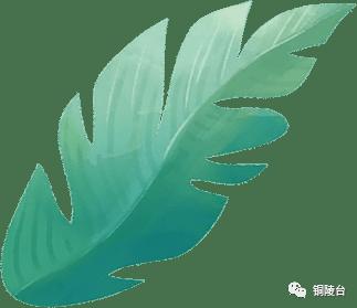 重磅！市二中\四中\九中…等9所学校划归区政府管理！宣布大会刚刚召开