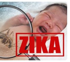 美洲传染病,美洲传出来了多少病毒