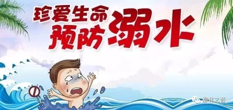 柳州东盟博览会签约什么项目,广西柳州柳城东盟博览会成功签约