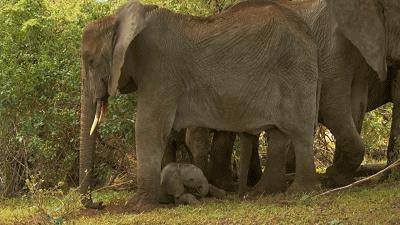 惊掉网友下巴的画面,豆瓣9.1分令人绝望
