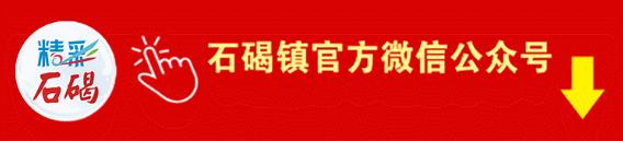 东莞电子龙头企业,东莞市台资电子科技