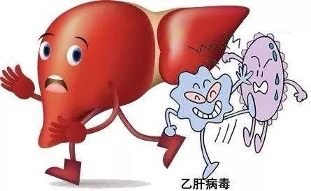 慢性乙肝防治指南的解读,慢性乙肝病人寿命