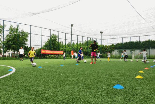 奉贤少年夏令营报名,奉贤区资质齐全的夏令营哪个正规