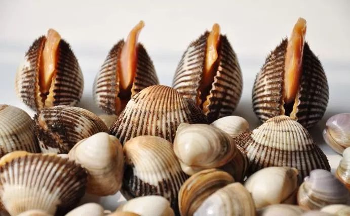 秦皇岛赶海哪里有螃蟹,秦皇岛蟹贝湾赶海