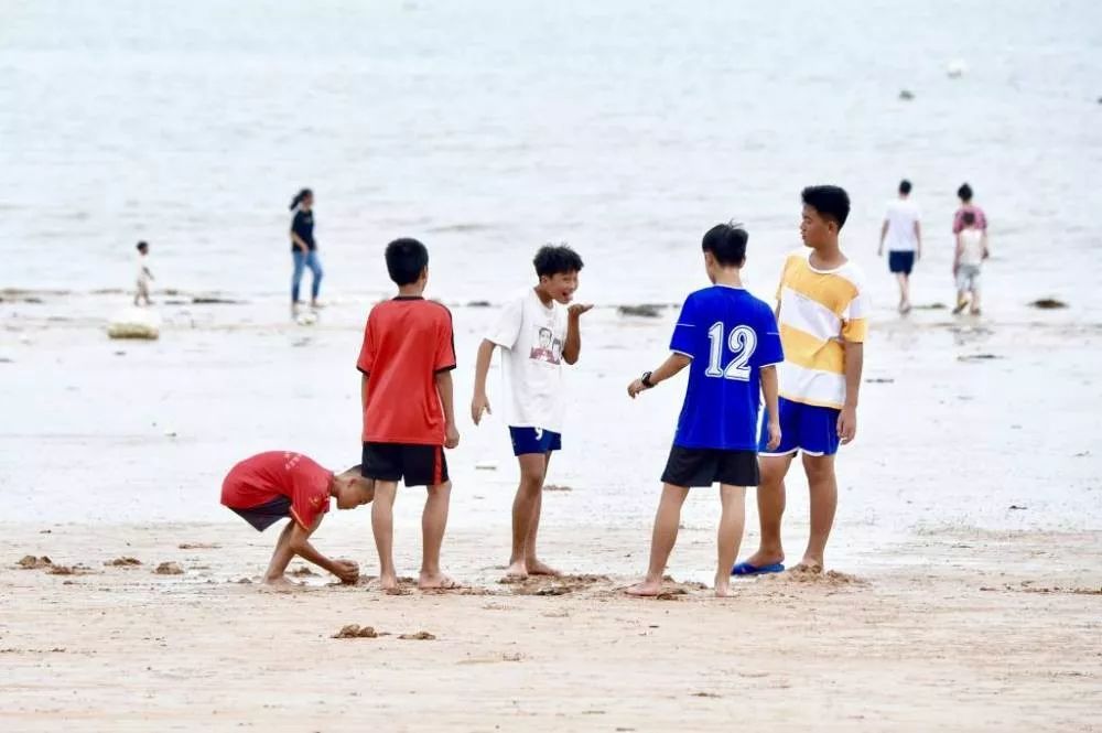 我为球狂,我为球狂完整版