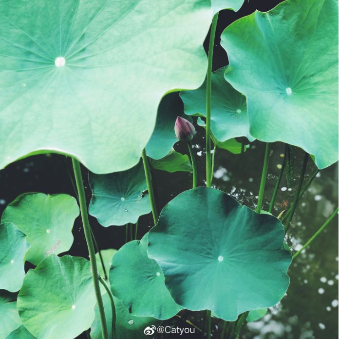 成都夏日清凉去处附近,成都避暑一日游地铁