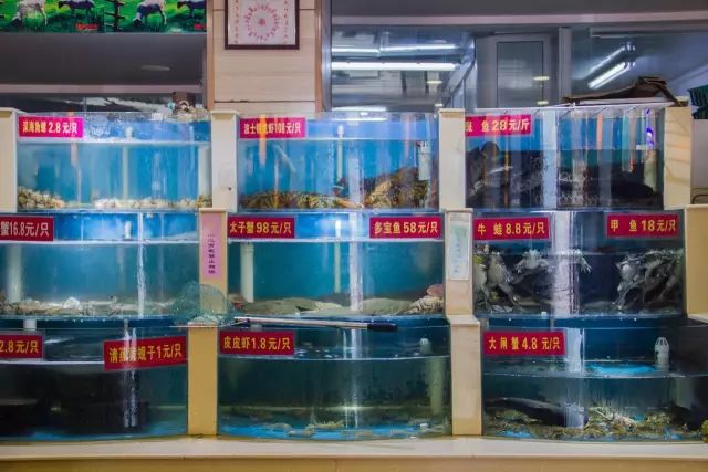 1元/只海白虾,2.8元/只鲍鱼,3.8元/只碳烤生蚝!啤酒喝一瓶还送一瓶!这家人气平价海鲜火锅老店让你嗨翻整个今夏