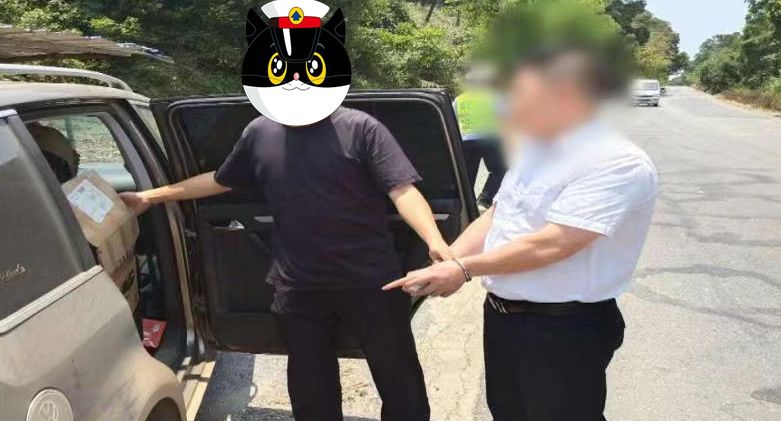 百色苗药假药案件,广西百色销售假药案