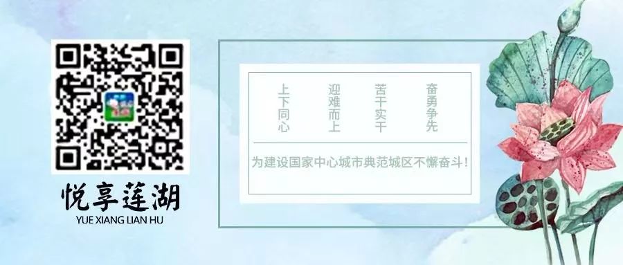 马蜂出没请注意切勿擅自处理,大马蜂窝上面有马蜂怎样处理