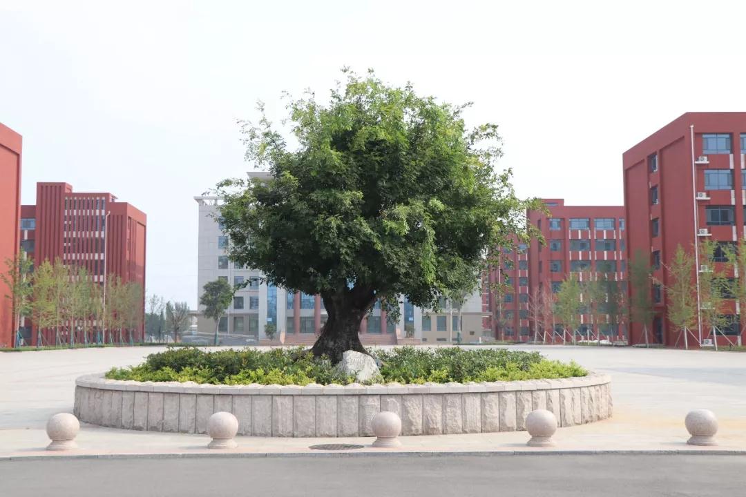 徜徉在美丽的金平湖畔,徜徉在北大校园