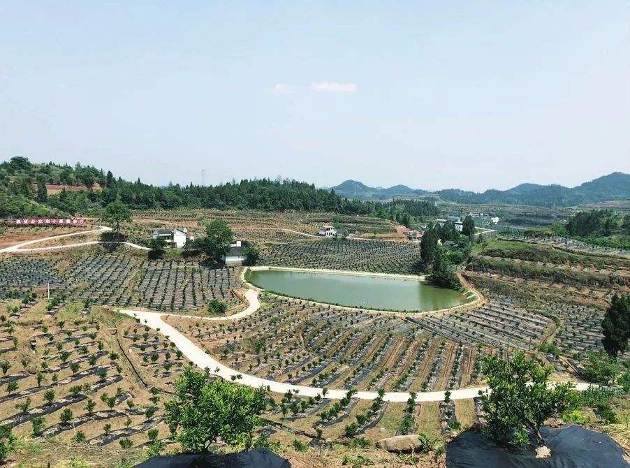 南充市的最新大项目规划,四川南充南部县乡镇新农村建设