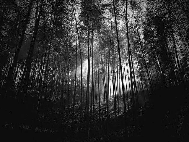 手机摄影大师级作品,手机拍出的大片风景摄影作品