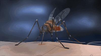 植物妈妈驱蚊喷雾,植物萃取喷雾防蚊驱蚊