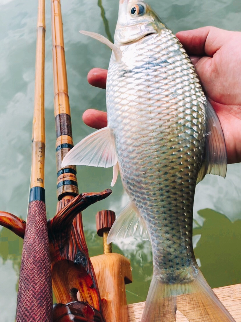 钓鱼装备全套小型鱼竿推荐,私人订制鱼竿路亚