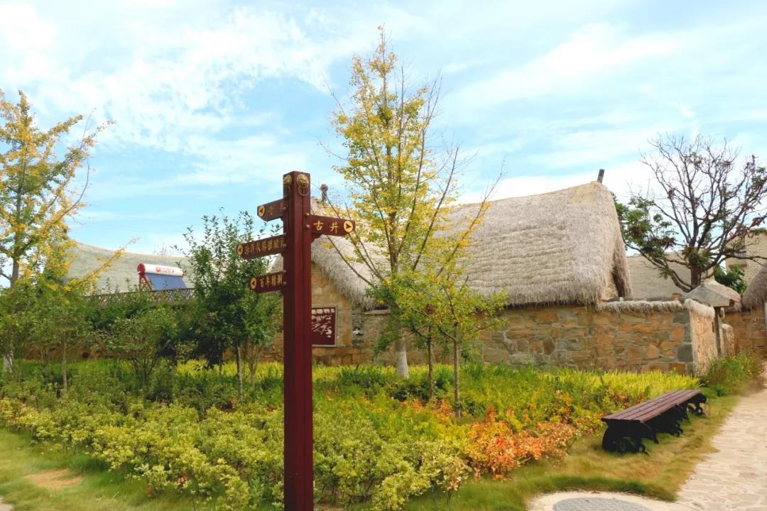 烟台青岛威海哪个海边适合游玩,最值得玩的海边威海