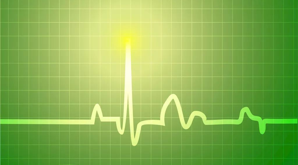 老中医用西洋参养生,西洋参的养生方法