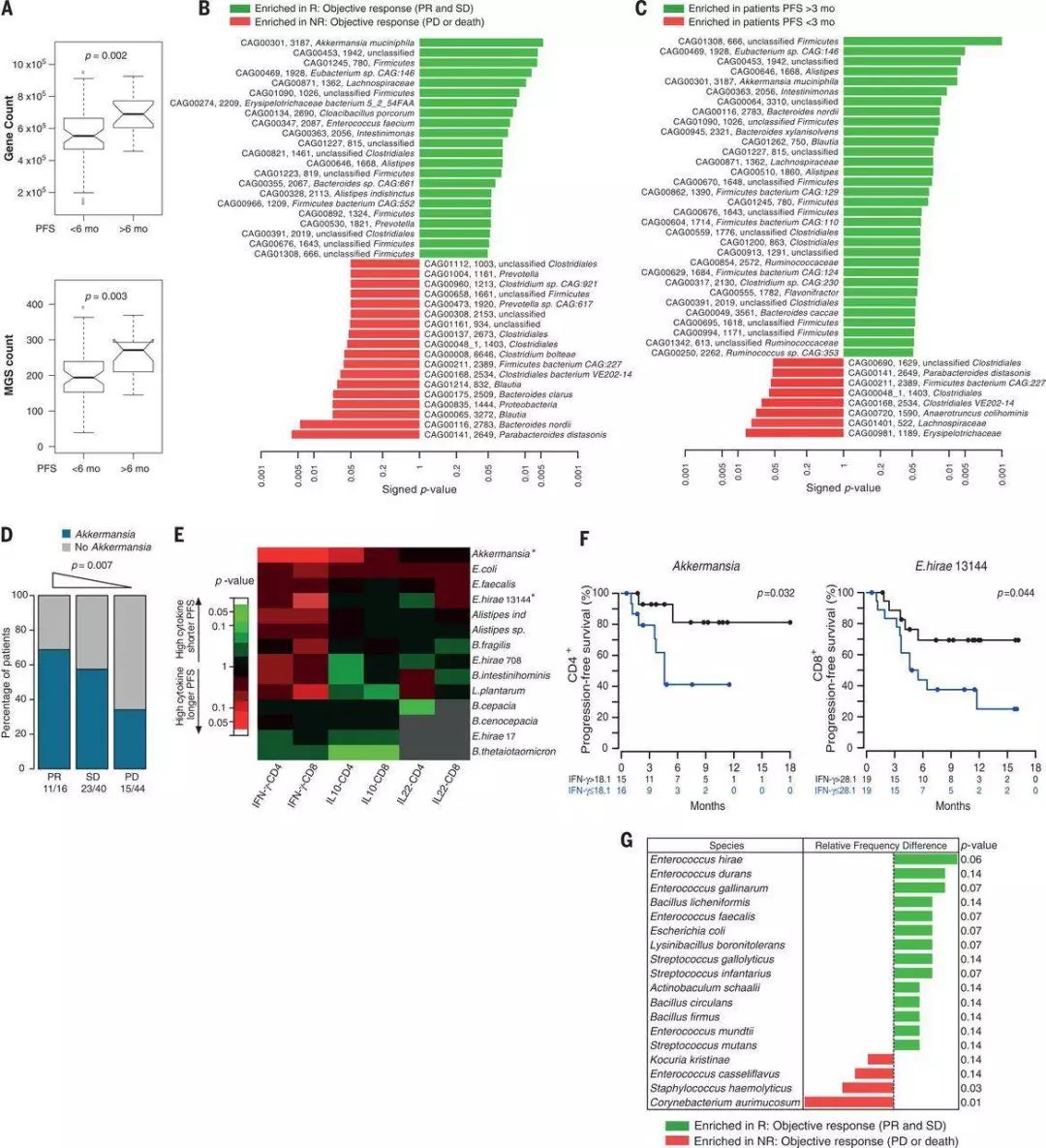 akk益生菌有什么功效,万能益生菌效果怎么样