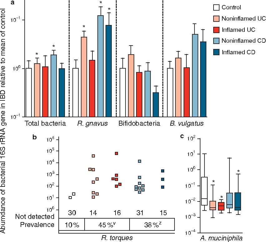 akk益生菌,益生菌akk瘦子菌推荐