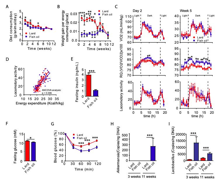 akk益生菌,益生菌akk瘦子菌推荐