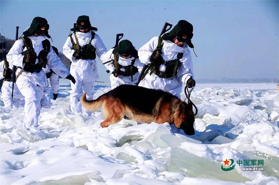 03式自动步枪和95式步枪谁好,03式步枪对比95步枪