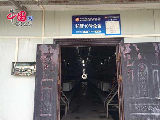 铜川兔业养殖,陕西省同富兔业铜川示范基地