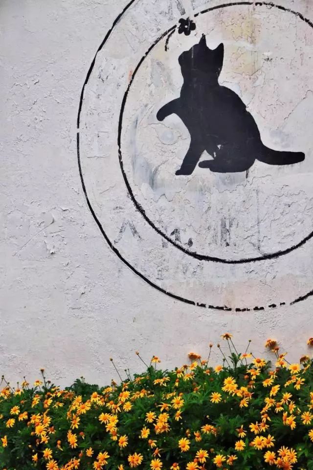 雨天丽江古城旅游攻略,来丽江看雨中的丽江古城