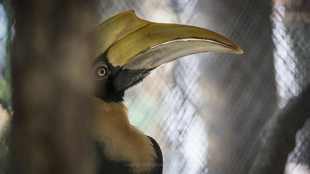 近七天游三亚,海南轻松游