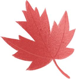 怎样在手机上买商品,怎么在手机上买网课